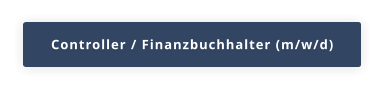 Controller / Finanzbuchhalter (m/w/d)